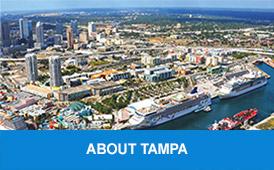 About Tampa